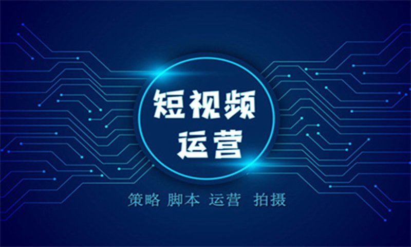 自建团队与专业公司：电商店铺装修方案横向评测